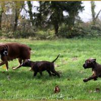 Bébés au jardin 28.11.14 