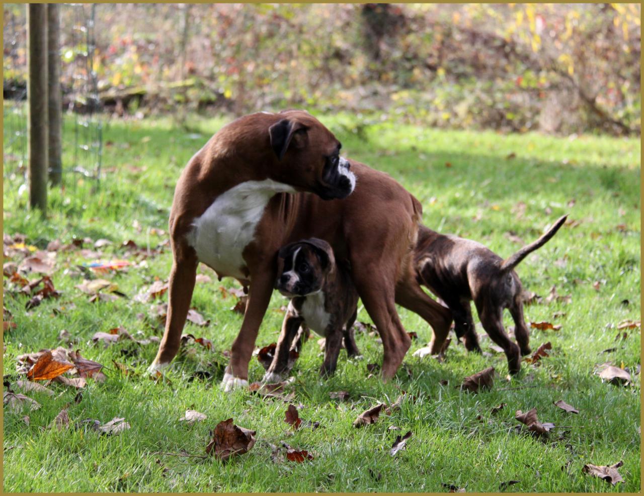 Bébés au jardin 28.11.14 
