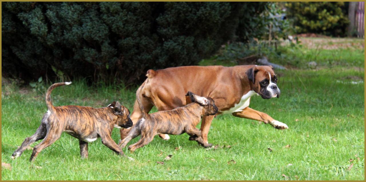 Bébés au jardin 28.11.14 