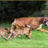 Bébés au jardin 28.11.14 