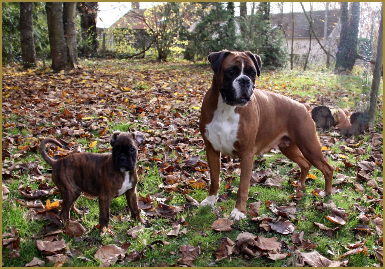 Bébés au jardin 28.11.14 
