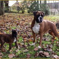 Bébés au jardin 28.11.14 