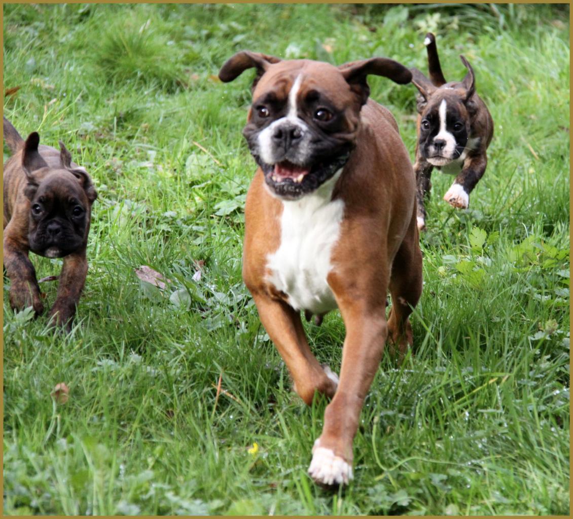 Bébés au jardin 28.11.14 