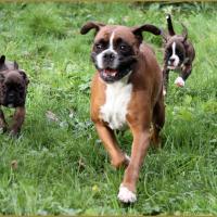 Bébés au jardin 28.11.14 