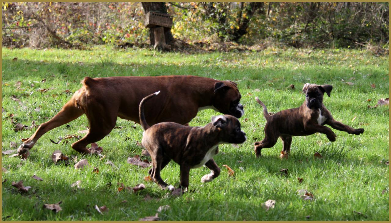 Bébés au jardin 28.11.14