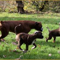 Bébés au jardin 28.11.14