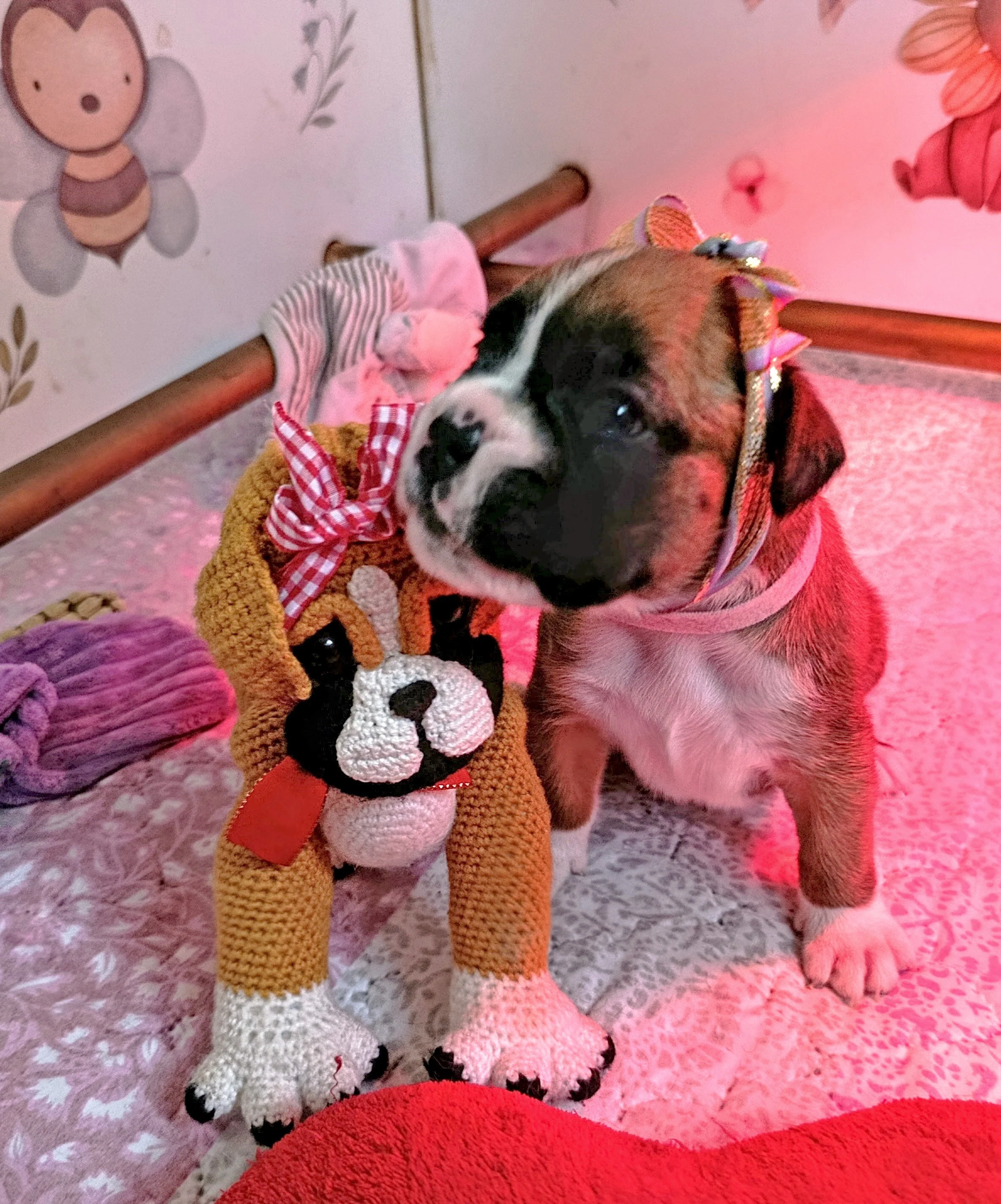 Belinda et mini boxer crochet, 24 jours