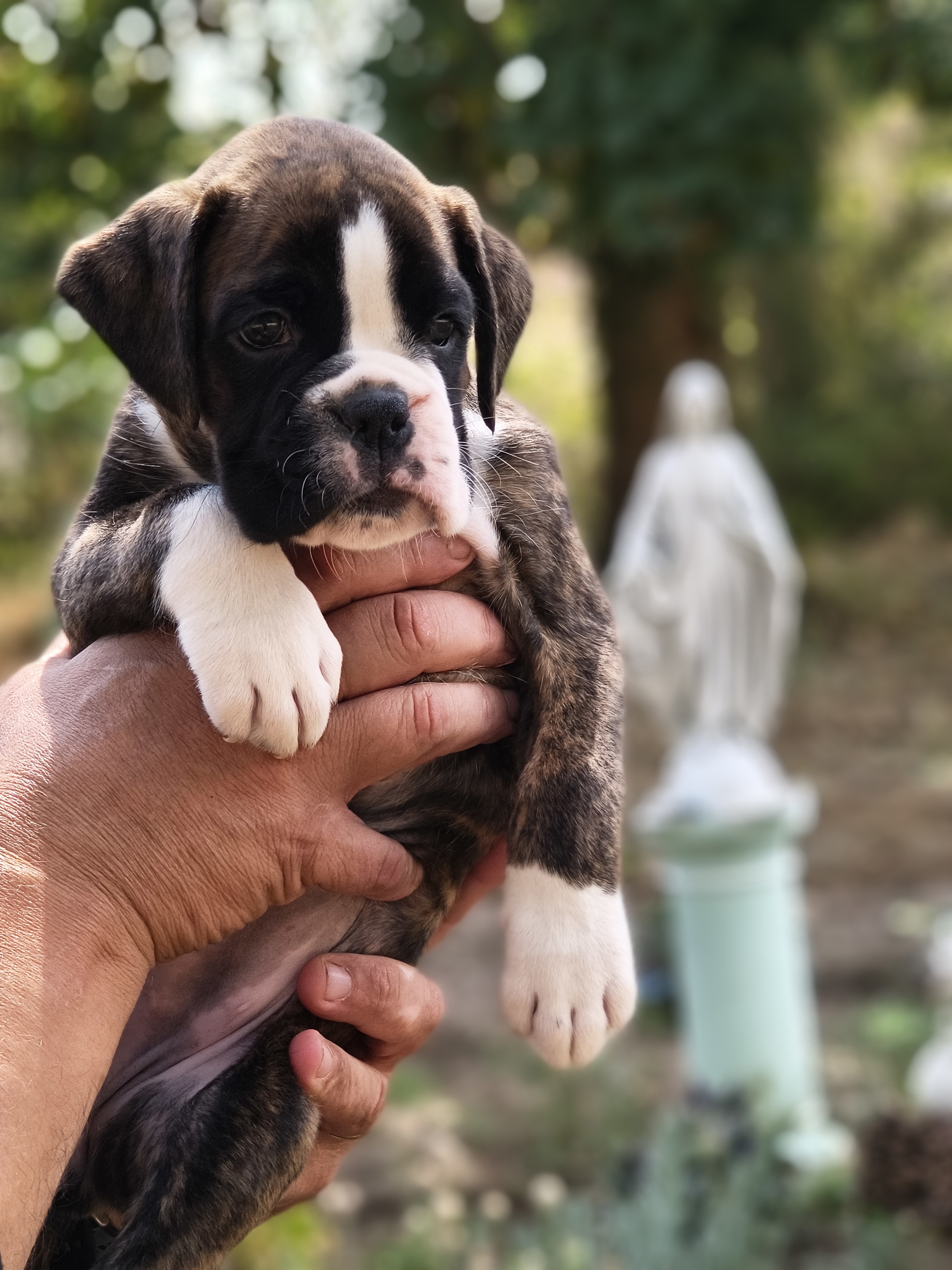 BIMBA 45 JOURS