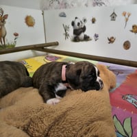 BONITA, 22 JOURS  