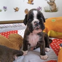 BONITA, 22 JOURS  