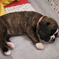 BONITA, 22 JOURS  