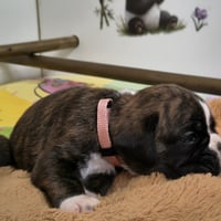 BONITA, 22 JOURS  