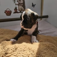 BONNIE 24 JOURS