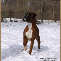 Charly Neige 01.03.18 