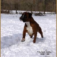 Charly Neige 01.03.18 