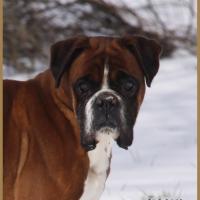 Charly Neige 01.03.18 