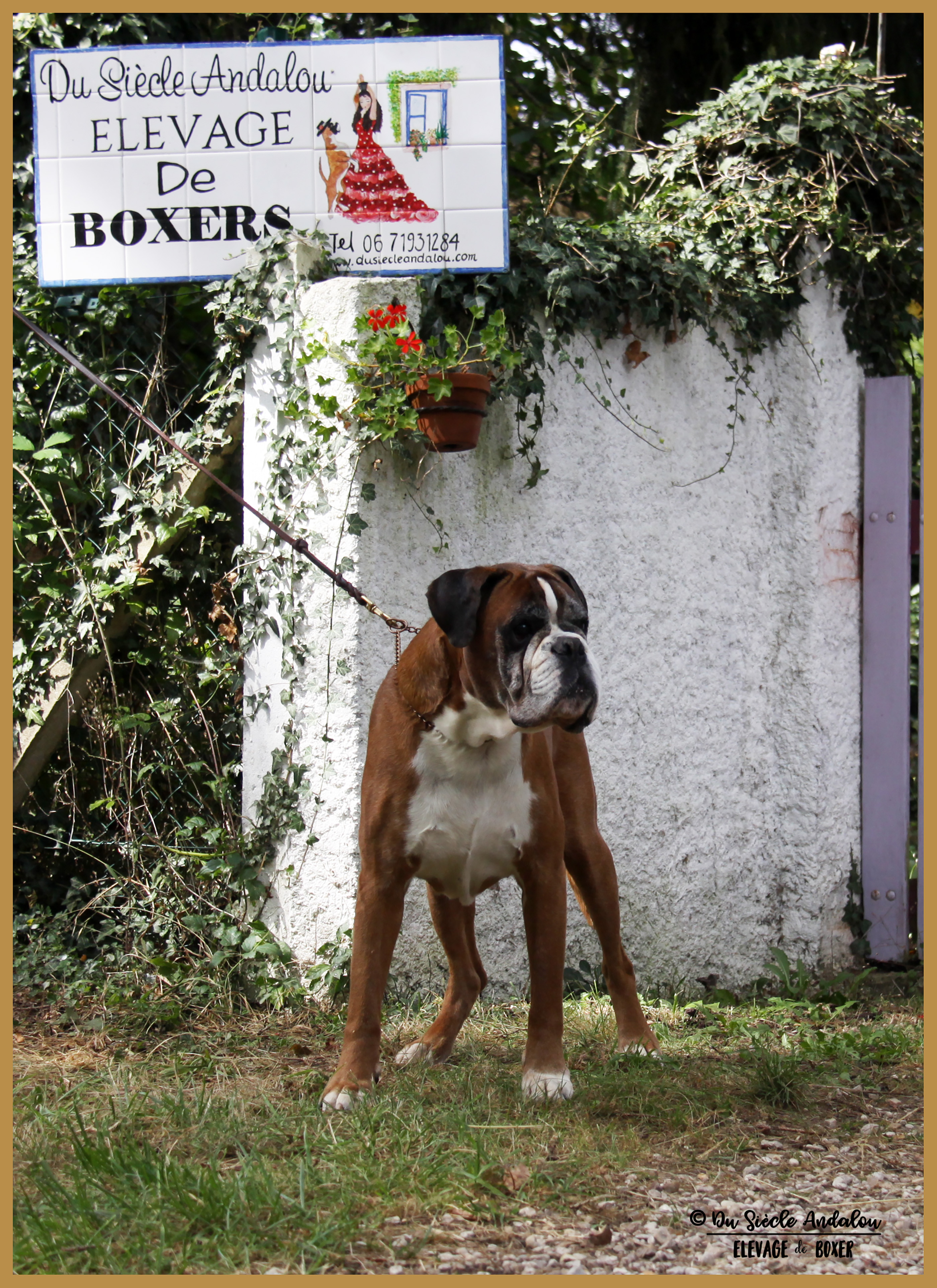 Chelton 03.09.17 10 ans