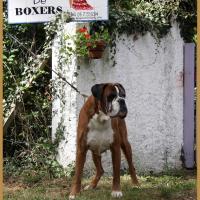 Chelton 03.09.17 10 ans