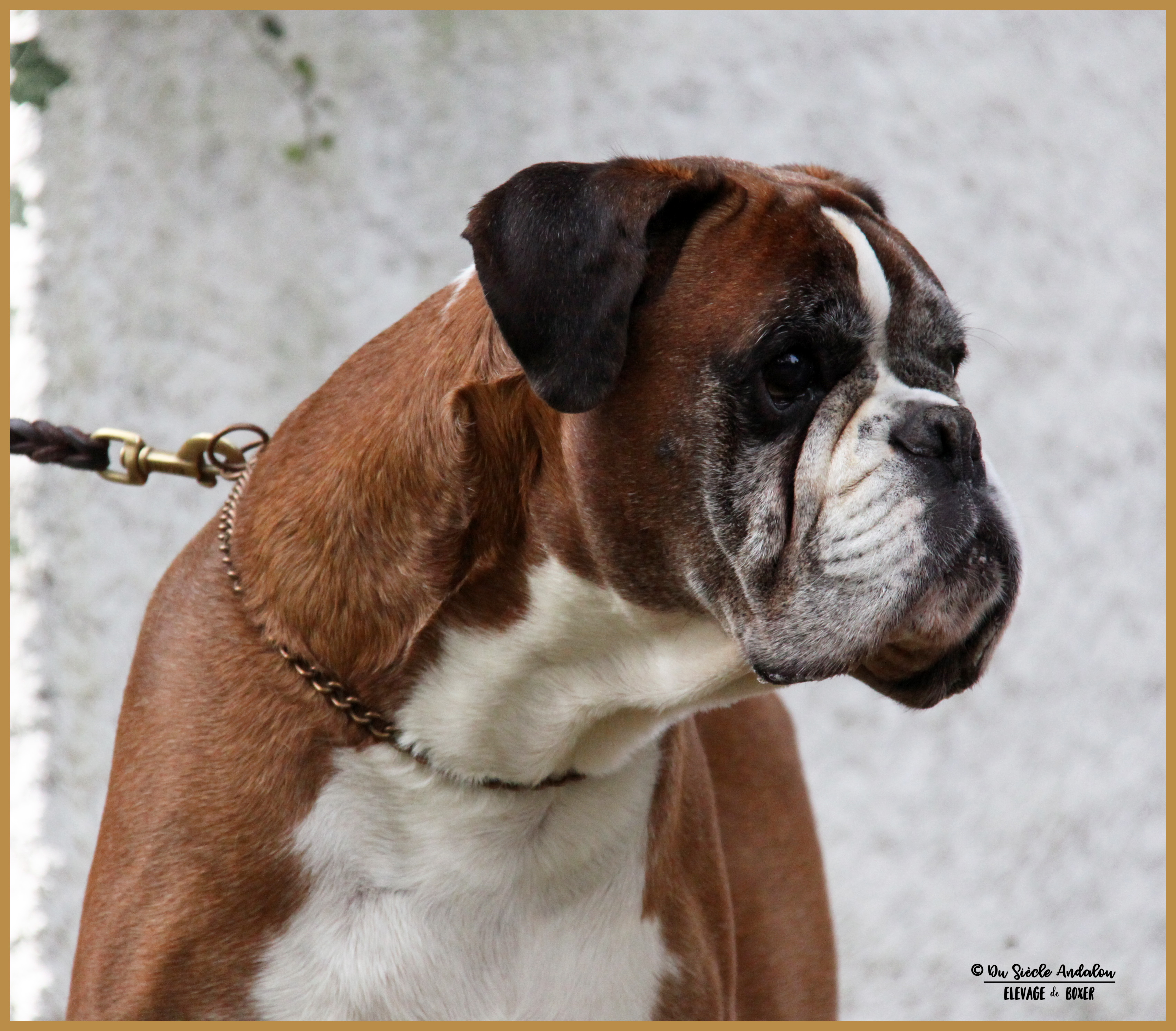 Chelton 03.09.17 10 ans