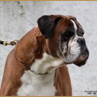 Chelton 03.09.17 10 ans