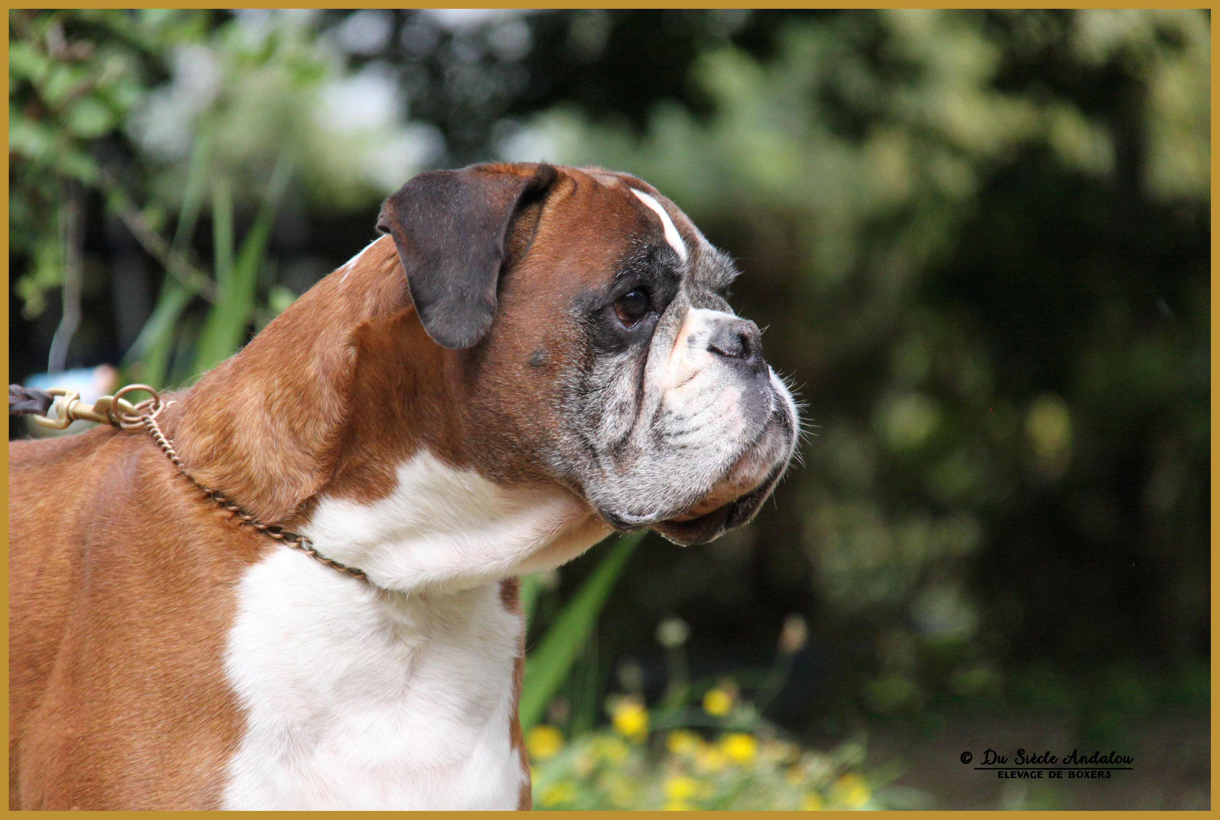 Chelton 21.08.16 9ans