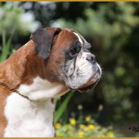 Chelton 21.08.16 9ans