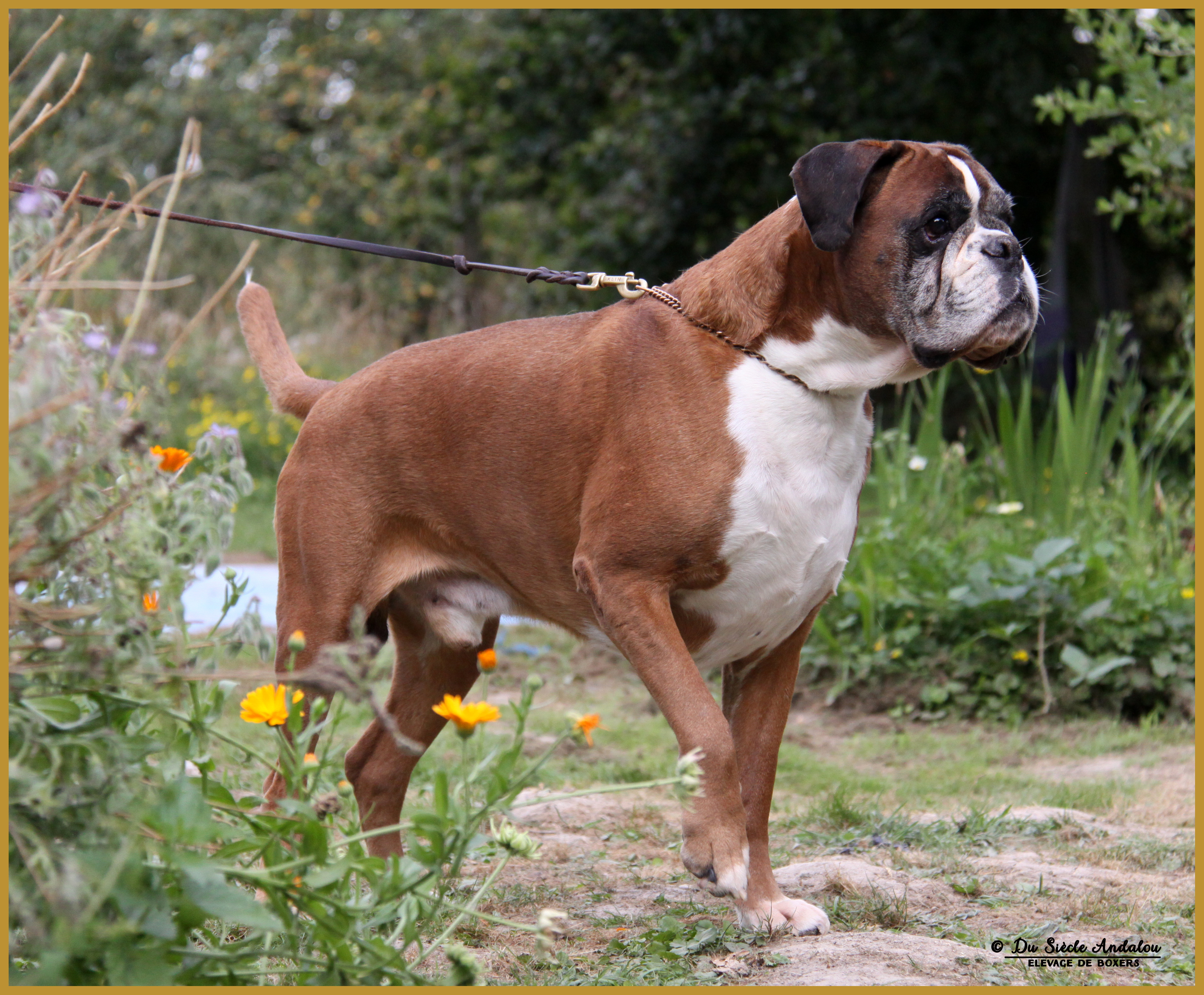 Chelton 21.08.16 9ans