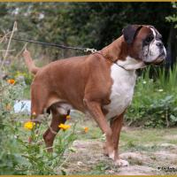 Chelton 21.08.16 9ans