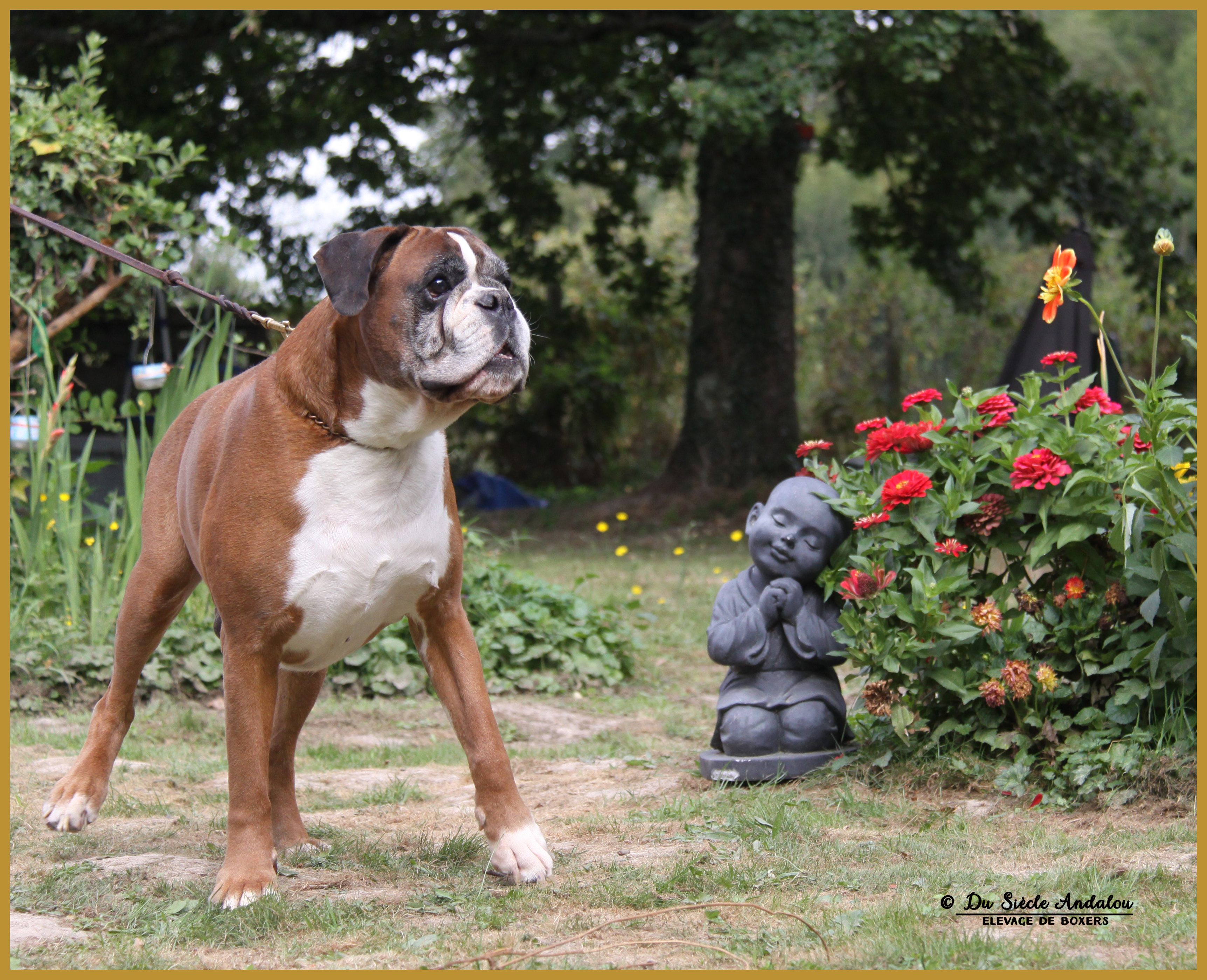 Chelton 21.08.16 9ans