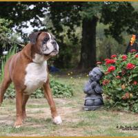 Chelton 21.08.16 9ans