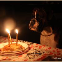 Chelton 3 ans 03.03.10