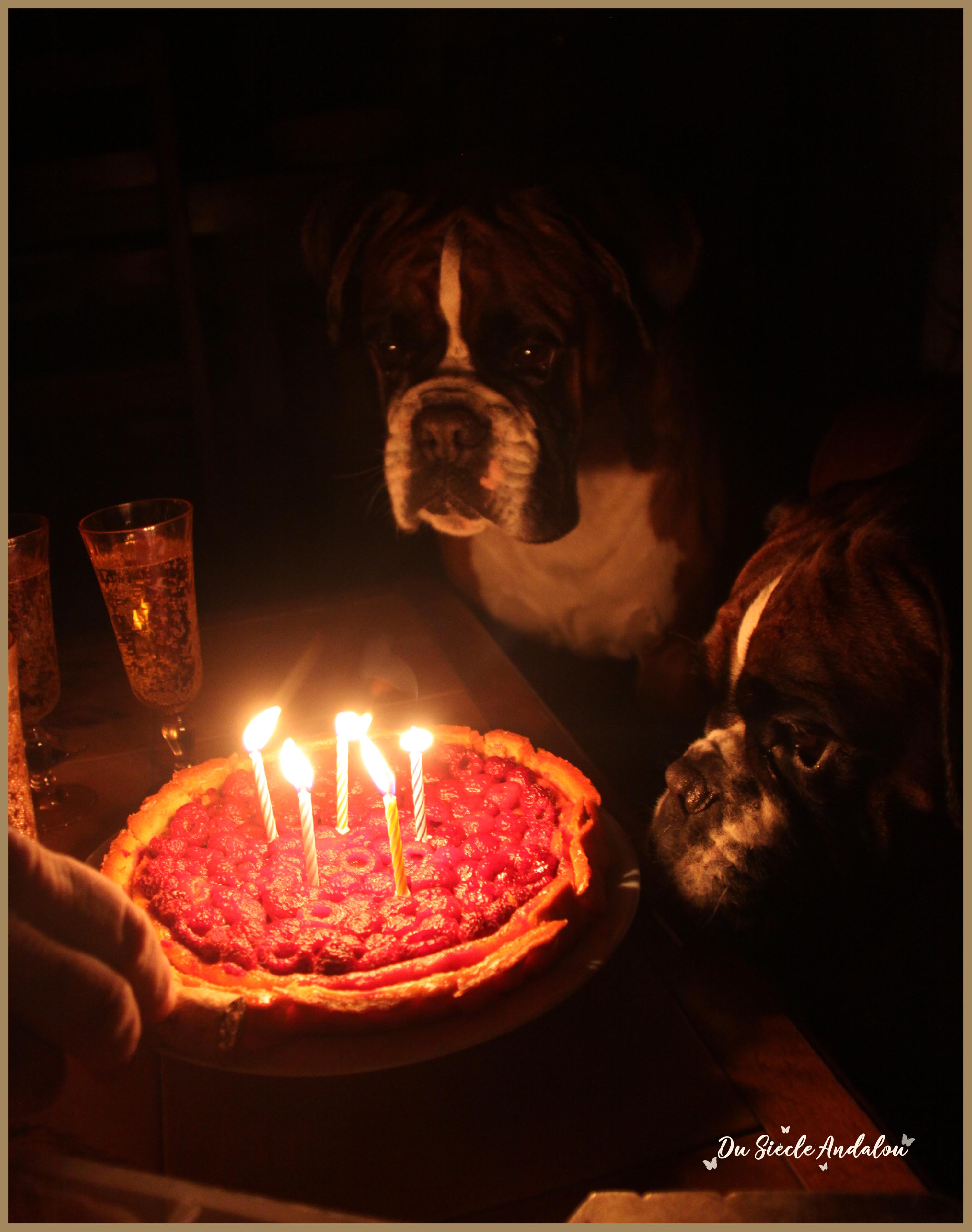 Chelton 5 ans 03.03.12