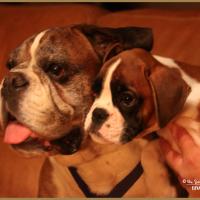 Nidia et son grand père