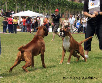 Chelton Atibox 2009 Barcelona