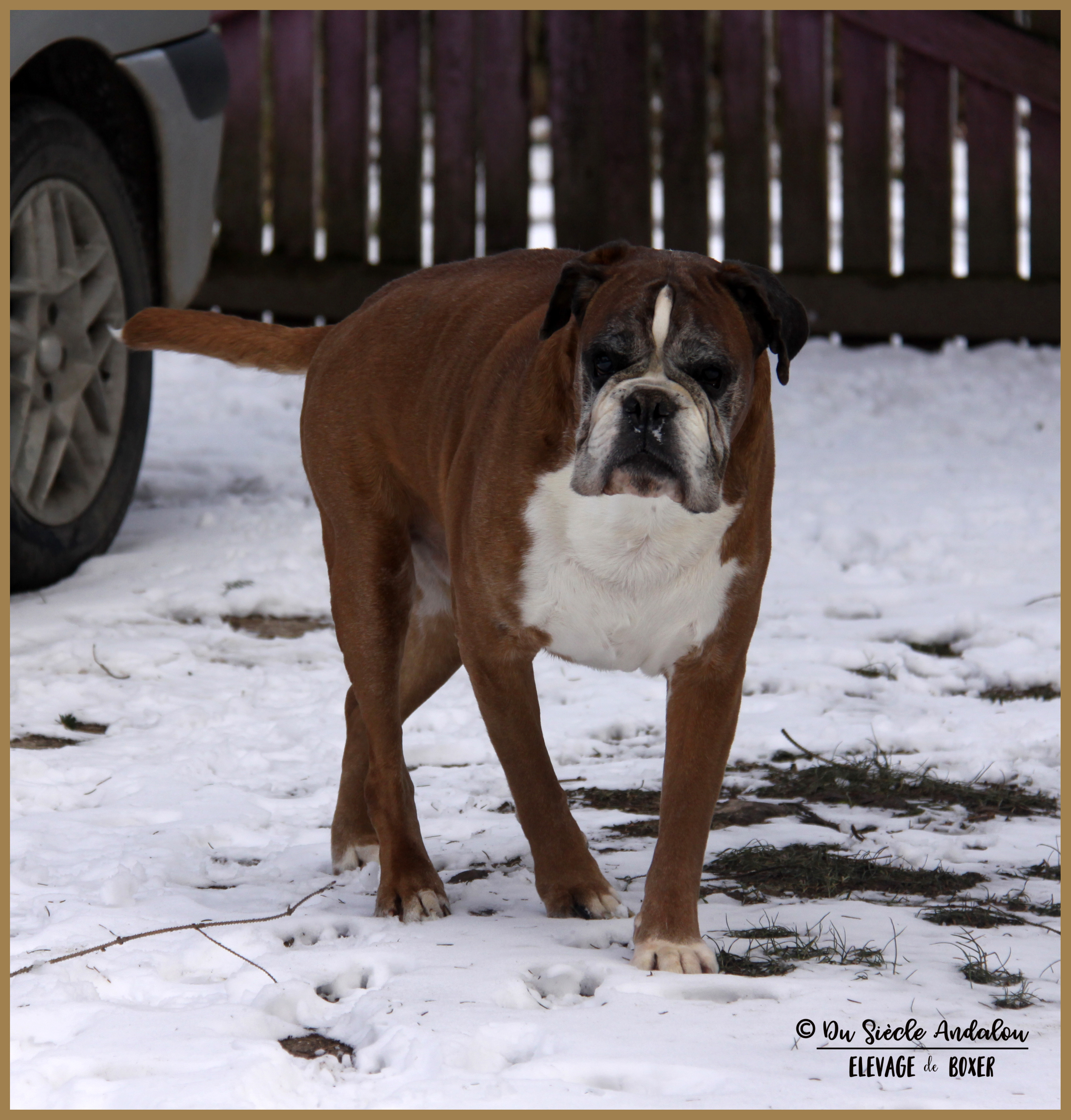 Chelton Neige 01.03.18 