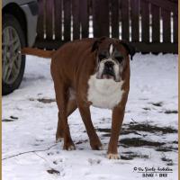 Chelton Neige 01.03.18 