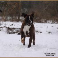 Chepke Neige 01.03.18 