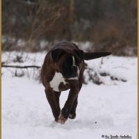 Chepke Neige 01.03.18 