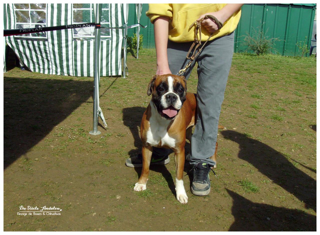 Alicia confirmation LOF 14 Avril 2013