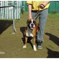 Alicia confirmation LOF 14 Avril 2013