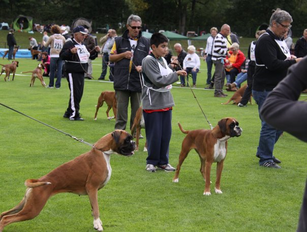 Darling NE Allemagne 05.09.09