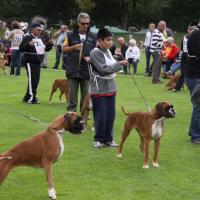 Darling NE Allemagne 05.09.09