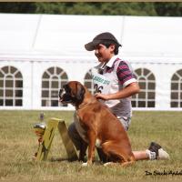 Darling Forges Les Eaux 2010