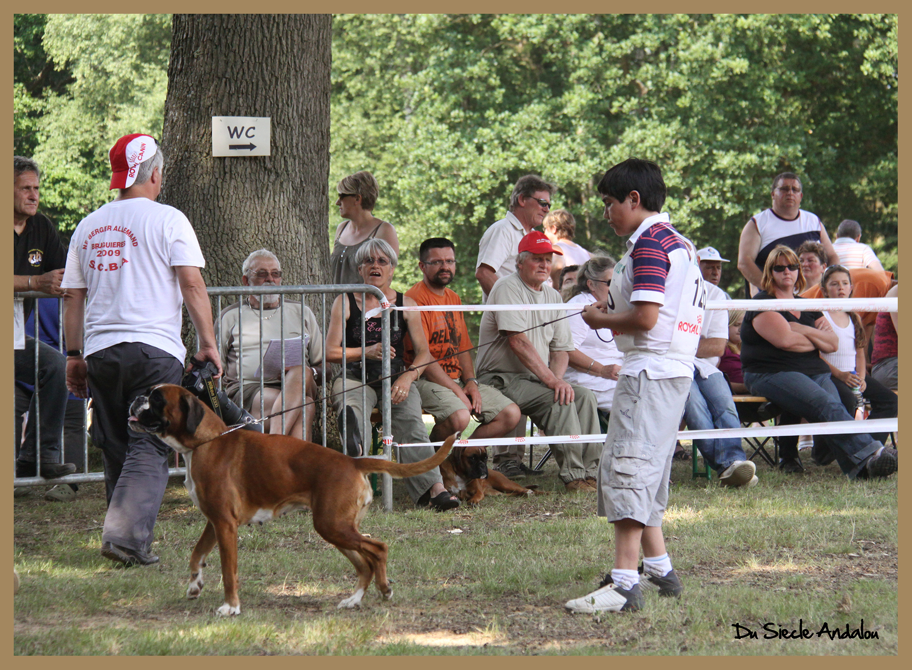 Darling Forges Les Eaux 2010