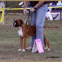 Darling La Grand Paroisse 25.10.09