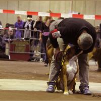 Darling Luxembourg 2010