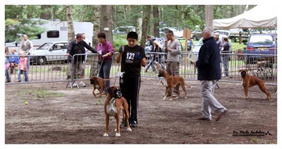 Darling Forges les Eaux 2011