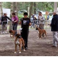 Darling Forges les Eaux 2011