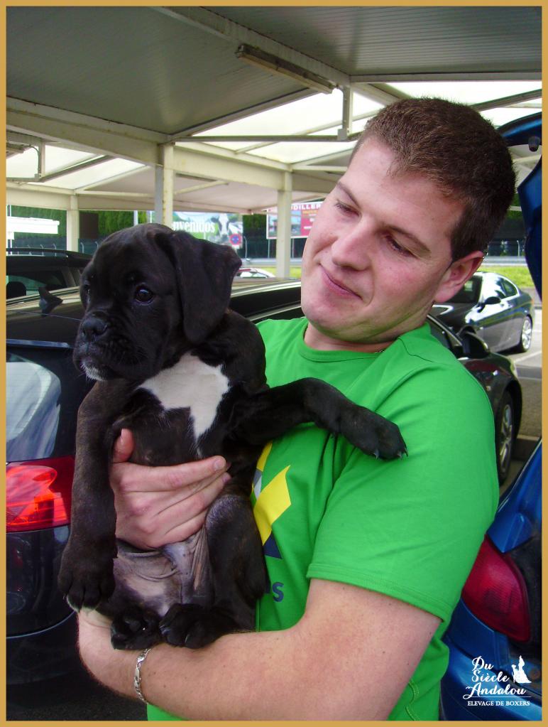 l'adieu avant le départ (l'aèroport d'Asturias)