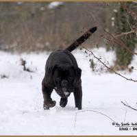 Ducati Neige 01.03.18 